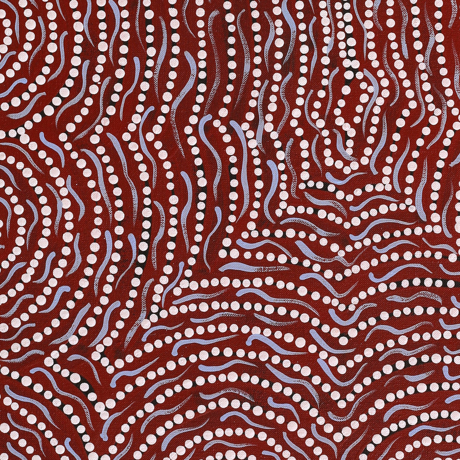 Aboriginal Artwork by Renita Napangardi Brown, Yuparli Jukurrpa (Bush Banana Dreaming), 61x46cm