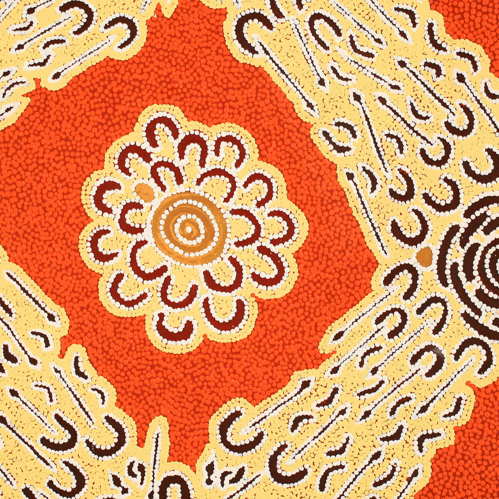 Aboriginal Artwork by Ritasha Nampijinpa Watson, Jajirrdi manu Janganpa Jukurrpa - Yakurdyi, 61x61cm