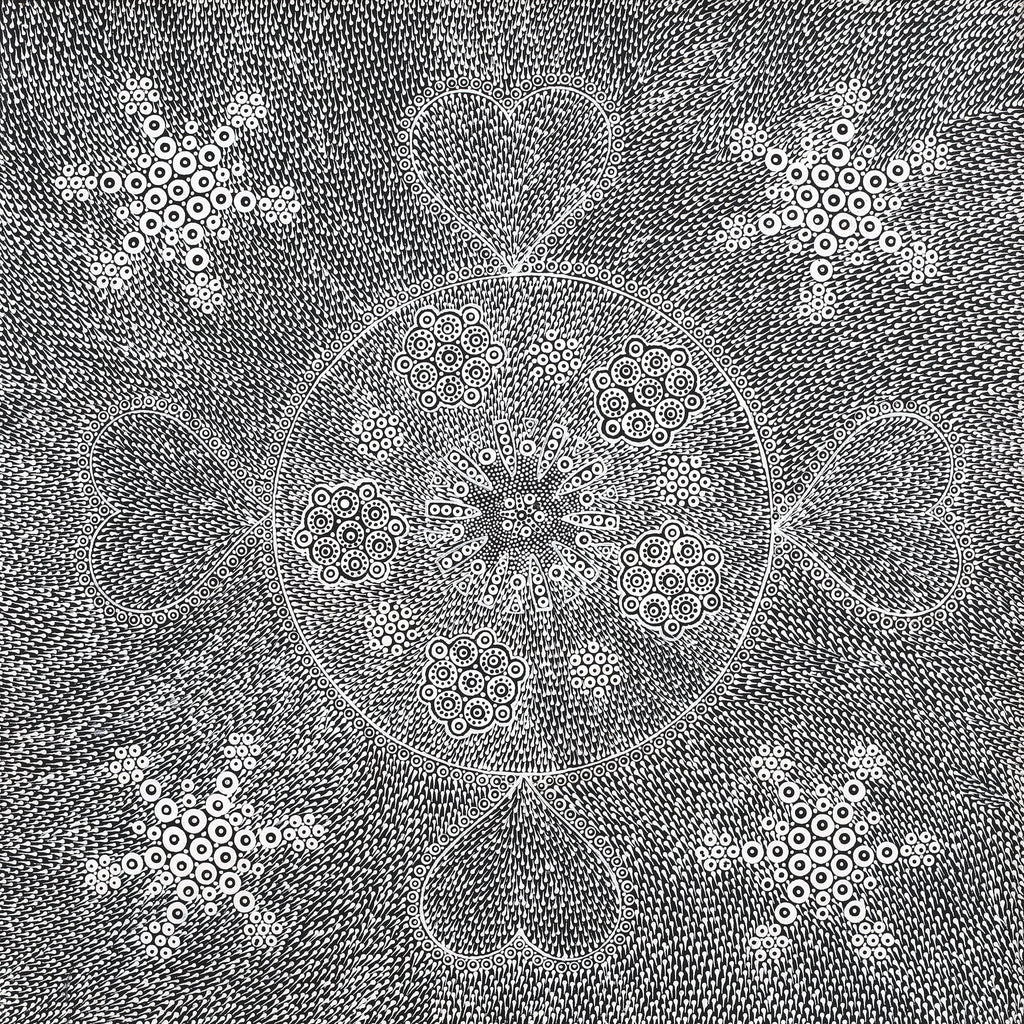 Aboriginal Artwork by Sandra Napanangka Frank, Lukarrara Jukurrpa, 46x46cm