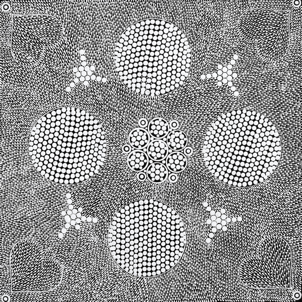 Aboriginal Artwork by Sandra Napanangka Frank, Lukarrara Jukurrpa, 46x46cm