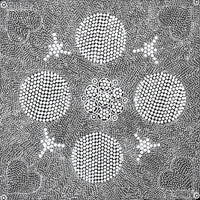 Aboriginal Artwork by Sandra Napanangka Frank, Lukarrara Jukurrpa, 46x46cm