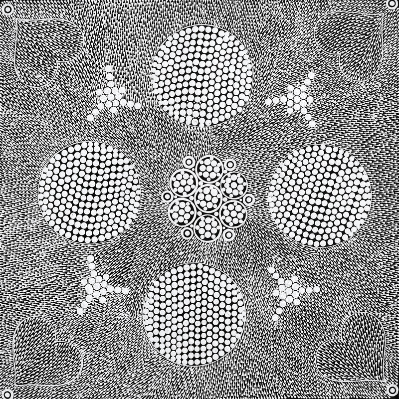 Aboriginal Artwork by Sandra Napanangka Frank, Lukarrara Jukurrpa, 46x46cm