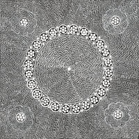 Aboriginal Artwork by Sandra Napanangka Frank, Lukarrara Jukurrpa, 46x46cm