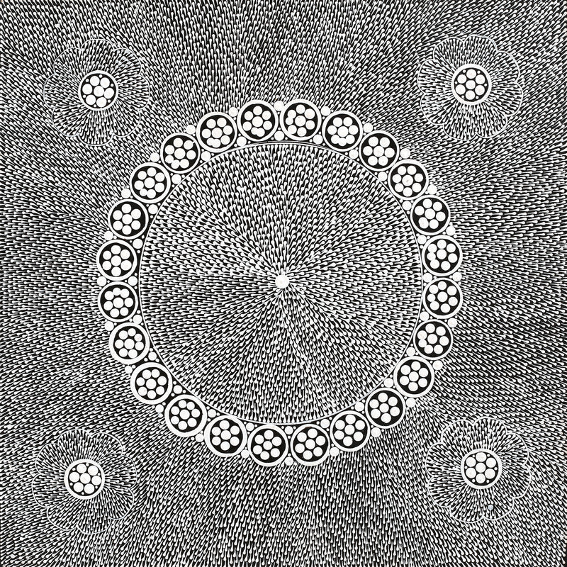 Aboriginal Artwork by Sandra Napanangka Frank, Lukarrara Jukurrpa, 46x46cm