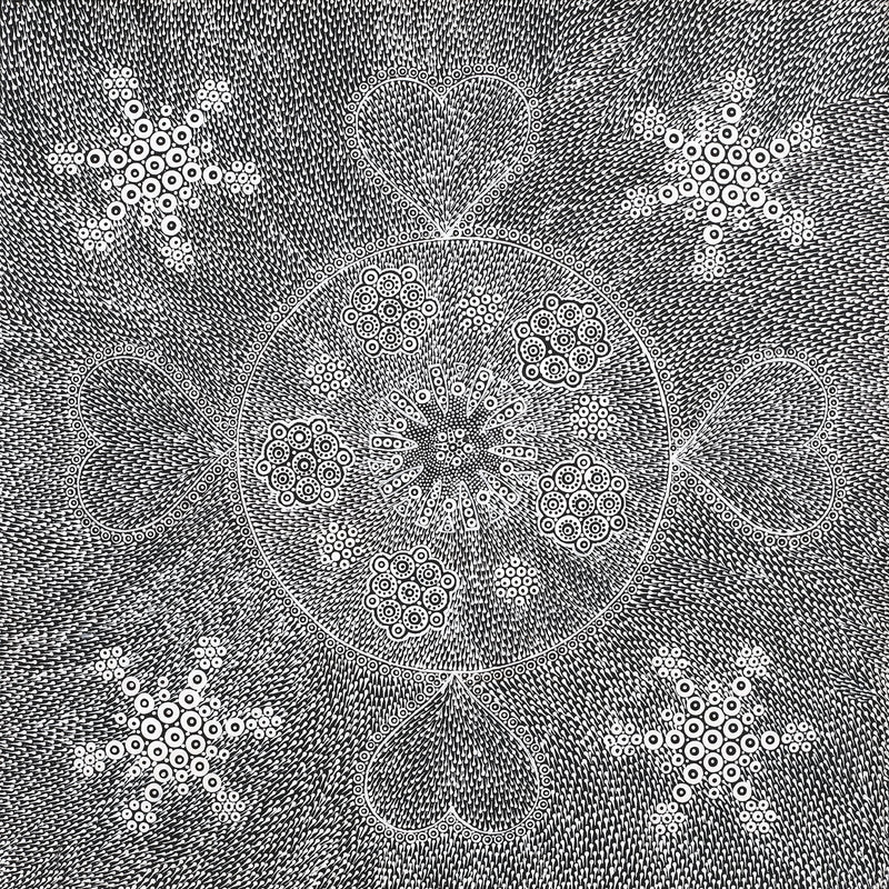Aboriginal Artwork by Sandra Napanangka Frank, Lukarrara Jukurrpa, 46x46cm