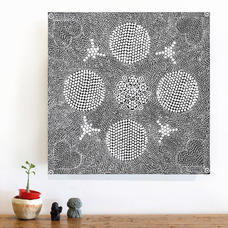 Aboriginal Artwork by Sandra Napanangka Frank, Lukarrara Jukurrpa, 46x46cm
