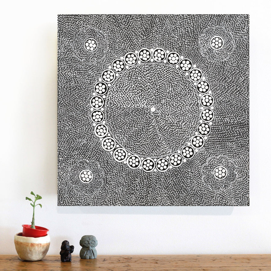 Aboriginal Artwork by Sandra Napanangka Frank, Lukarrara Jukurrpa, 46x46cm