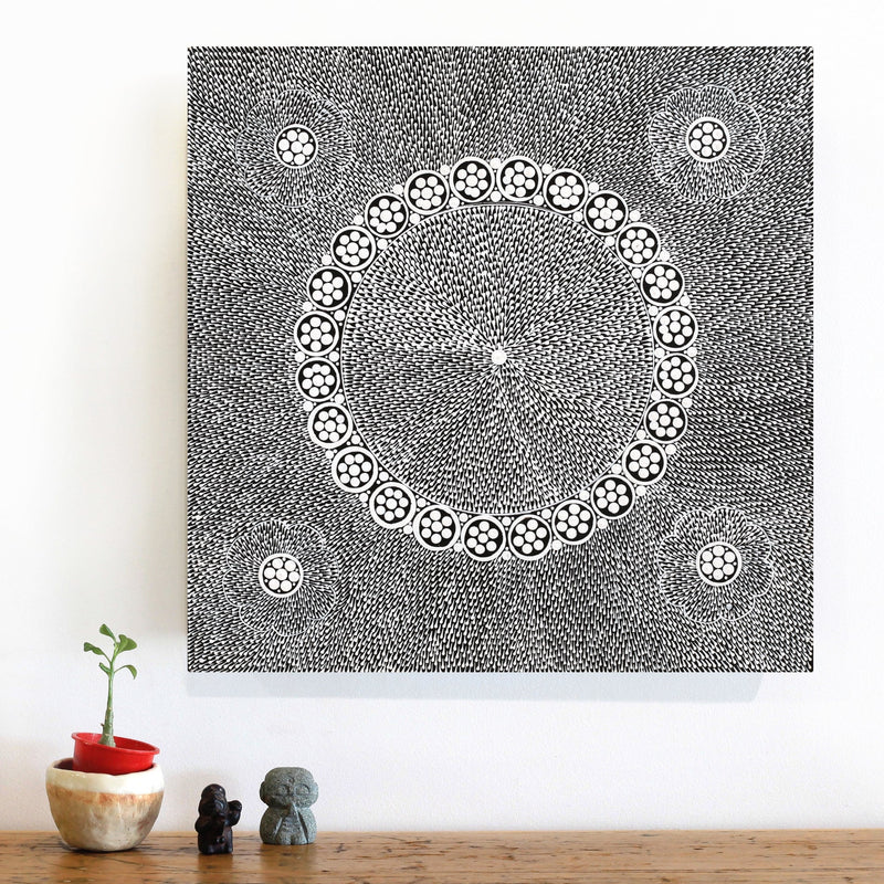 Aboriginal Artwork by Sandra Napanangka Frank, Lukarrara Jukurrpa, 46x46cm