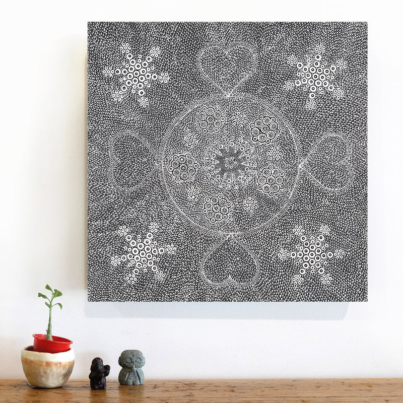 Aboriginal Artwork by Sandra Napanangka Frank, Lukarrara Jukurrpa, 46x46cm