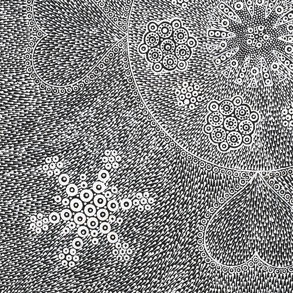 Aboriginal Artwork by Sandra Napanangka Frank, Lukarrara Jukurrpa, 46x46cm