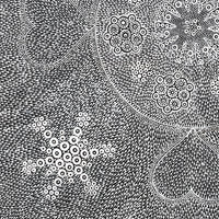 Aboriginal Artwork by Sandra Napanangka Frank, Lukarrara Jukurrpa, 46x46cm