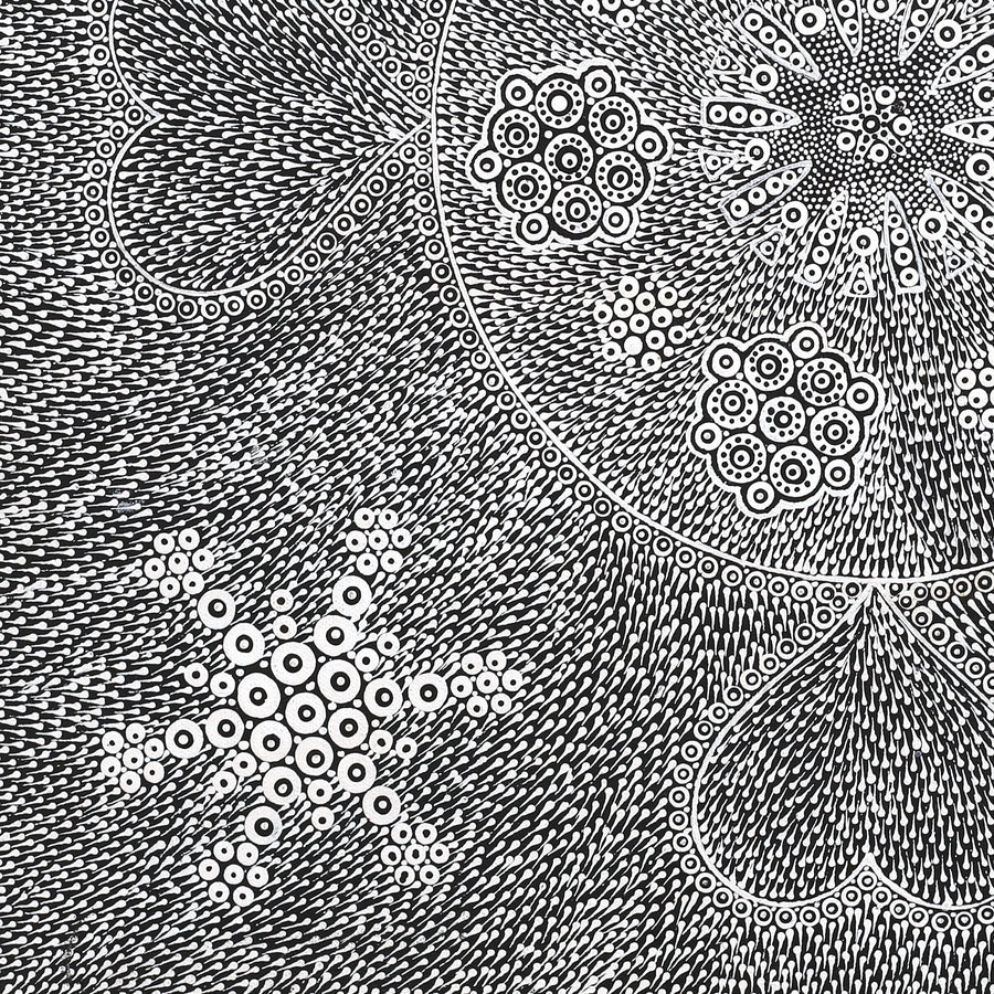 Aboriginal Artwork by Sandra Napanangka Frank, Lukarrara Jukurrpa, 46x46cm