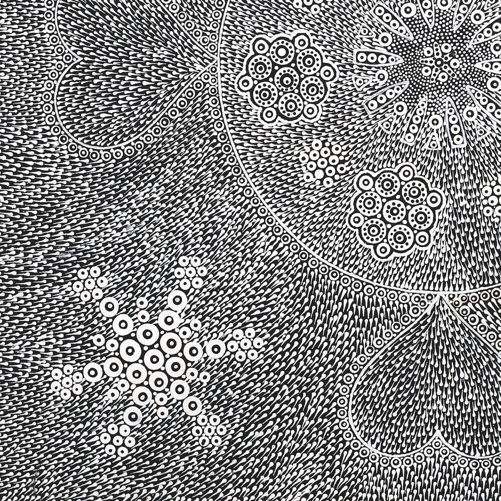 Aboriginal Art by Sandra Napanangka Frank, Lukarrara Jukurrpa, 46x46cm - ART ARK®
