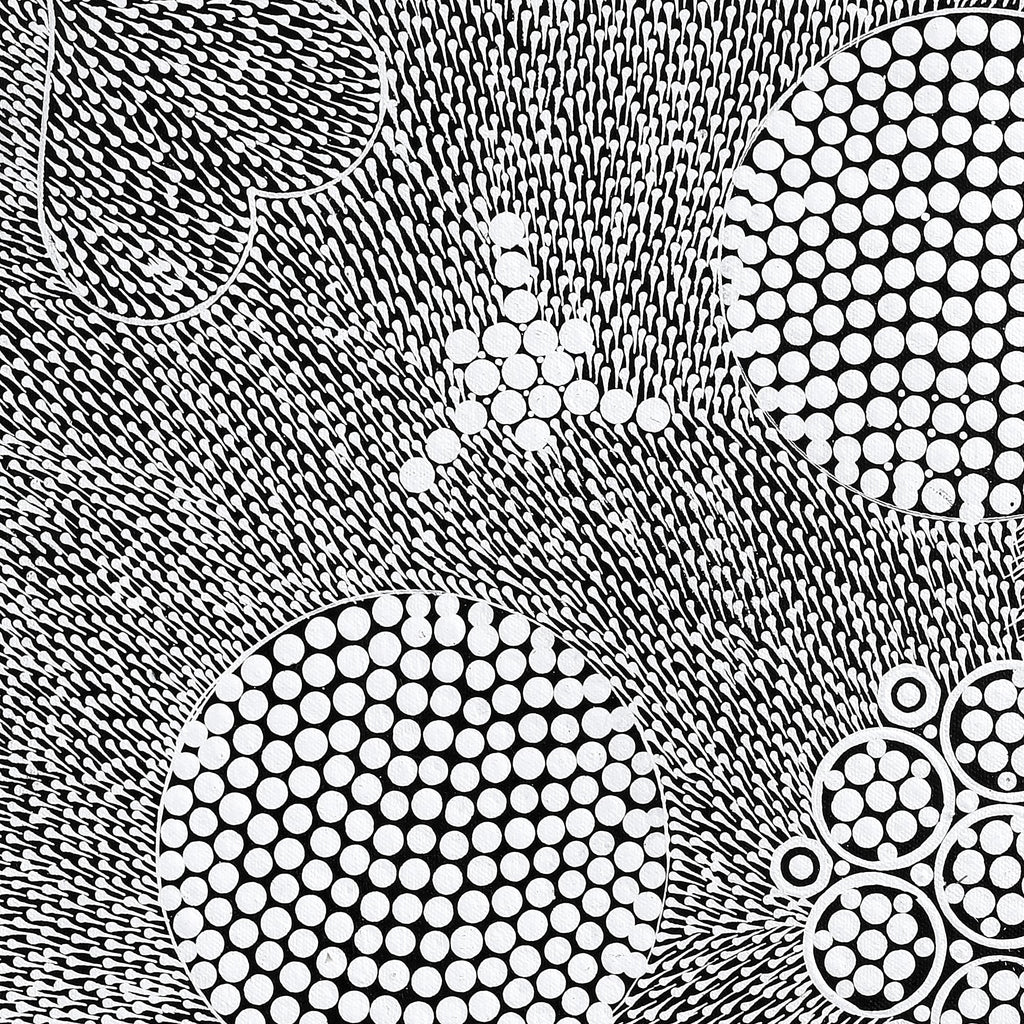 Aboriginal Artwork by Sandra Napanangka Frank, Lukarrara Jukurrpa, 46x46cm
