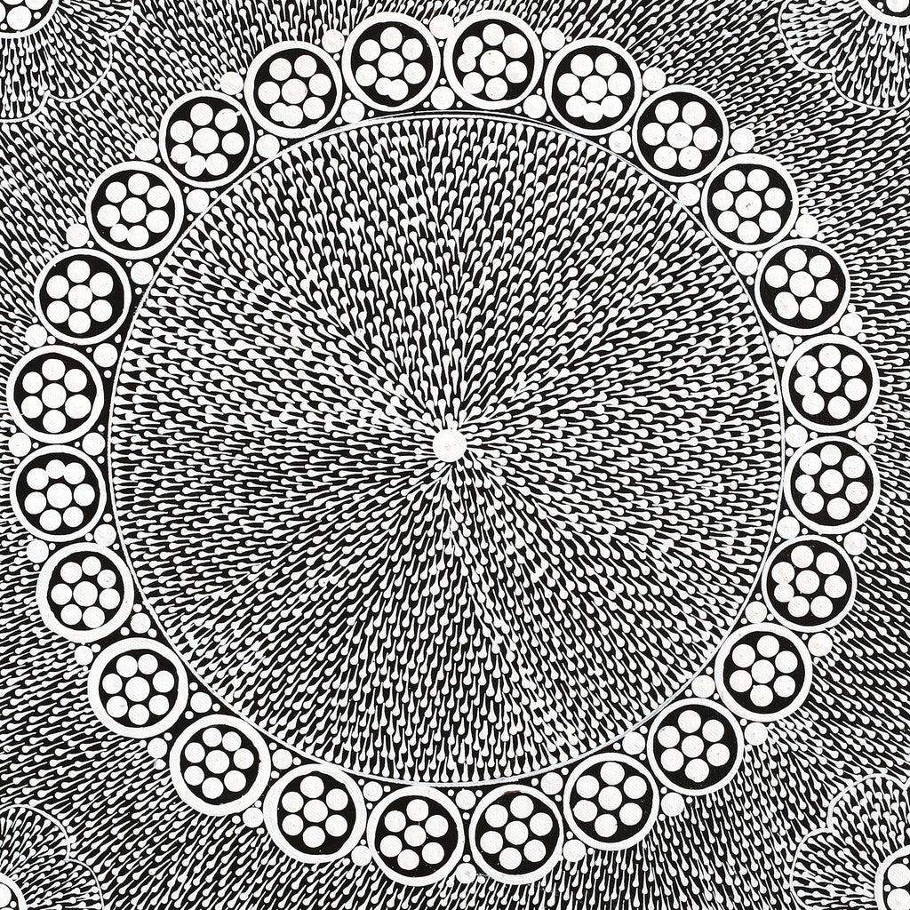 Aboriginal Artwork by Sandra Napanangka Frank, Lukarrara Jukurrpa, 46x46cm