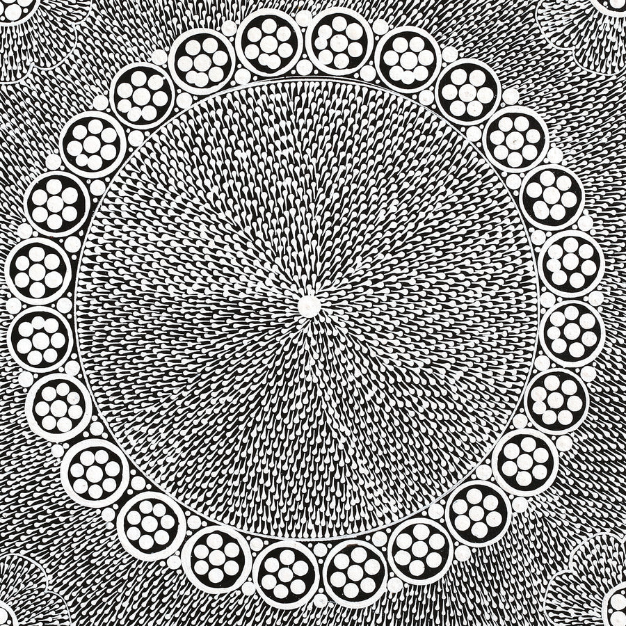 Aboriginal Artwork by Sandra Napanangka Frank, Lukarrara Jukurrpa, 46x46cm