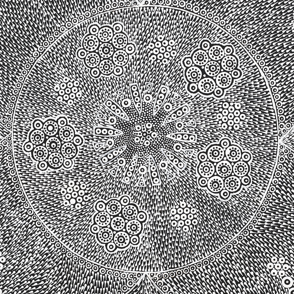 Aboriginal Artwork by Sandra Napanangka Frank, Lukarrara Jukurrpa, 46x46cm