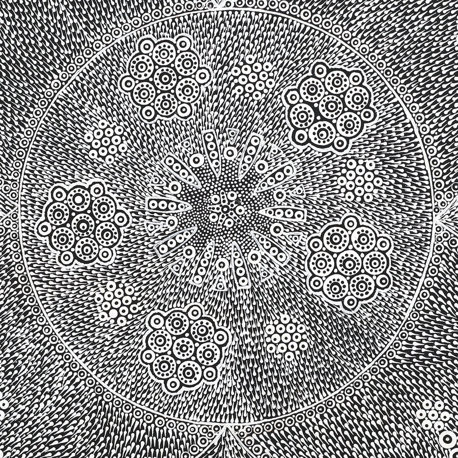 Aboriginal Artwork by Sandra Napanangka Frank, Lukarrara Jukurrpa, 46x46cm