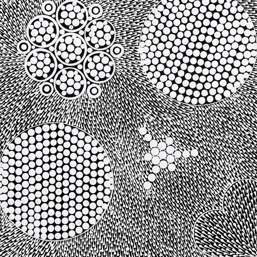 Aboriginal Artwork by Sandra Napanangka Frank, Lukarrara Jukurrpa, 46x46cm