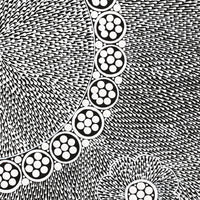 Aboriginal Artwork by Sandra Napanangka Frank, Lukarrara Jukurrpa, 46x46cm