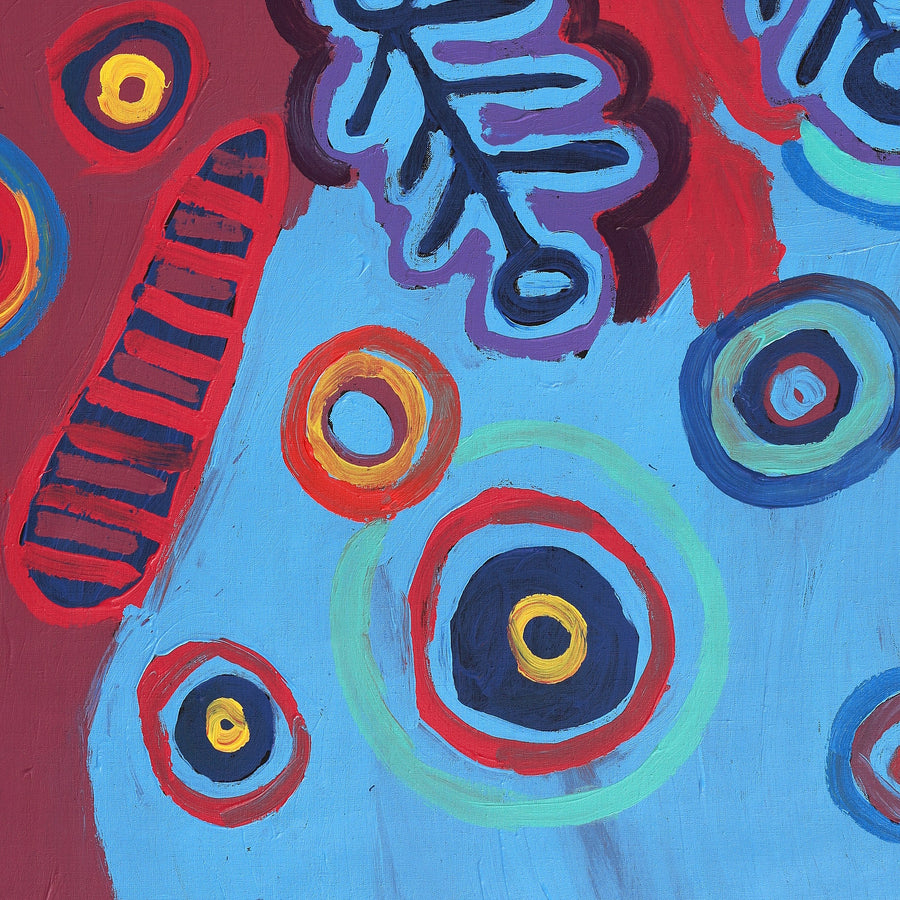 Aboriginal Artwork by Saraeva Napangardi Marshall, Mina Mina Dreaming, 91x76cm