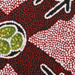 Aboriginal Art by Sarah-Jane Nampijinpa Singleton, Yankirri Jukurrpa (Emu Dreaming) - Ngarlikurlangu, 30x30cm - ART ARK®