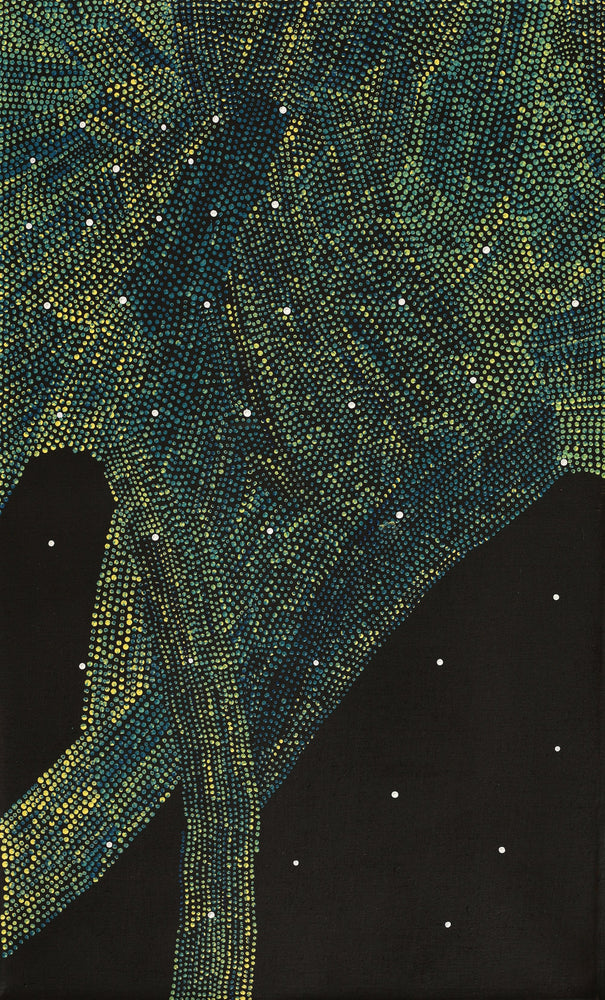 Aboriginal Artwork by Selma Napurrurla Leo, Lukarrara Jukurrpa,76x46cm