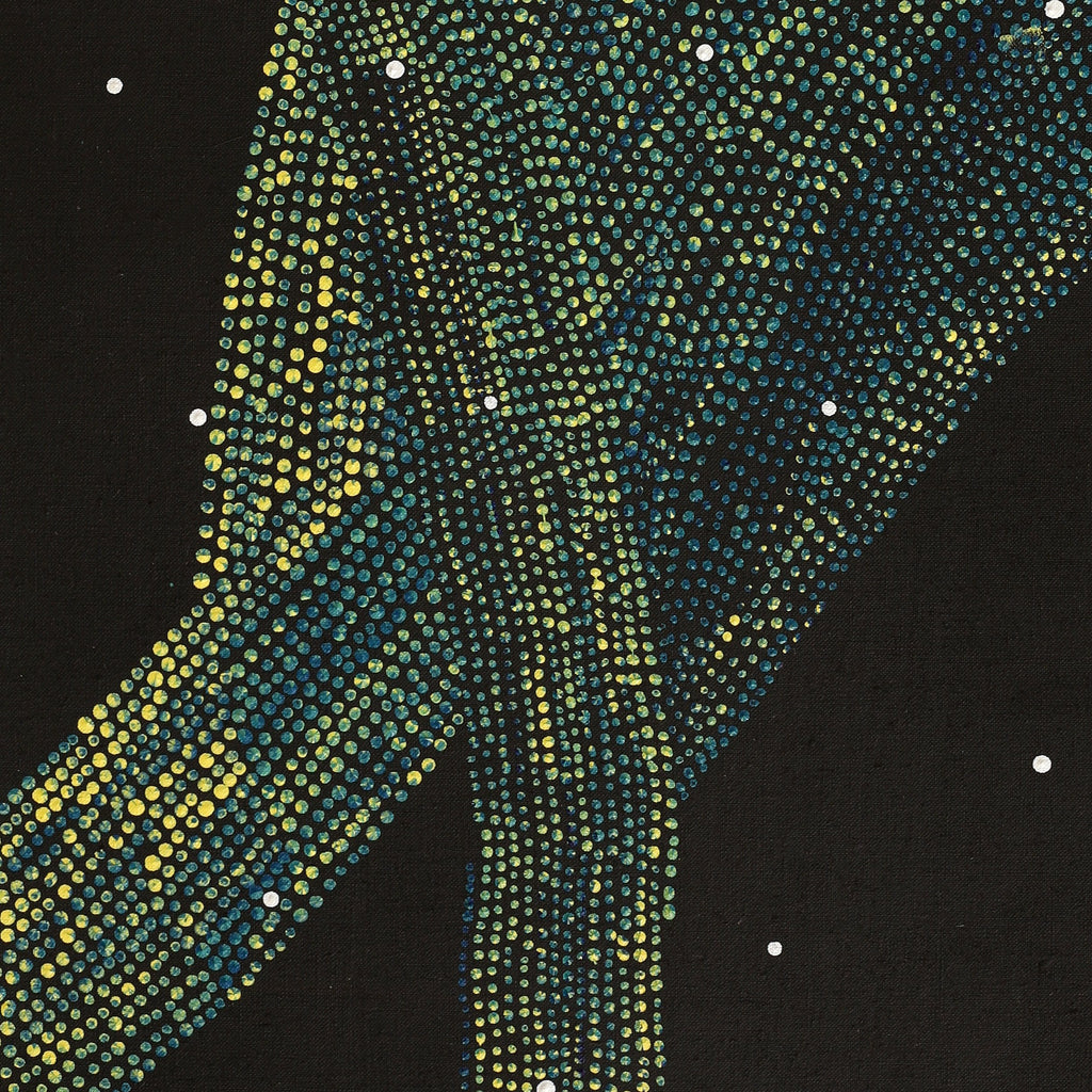 Aboriginal Artwork by Selma Napurrurla Leo, Lukarrara Jukurrpa,76x46cm