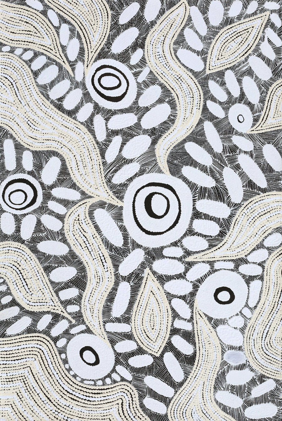 Aboriginal Artwork by Shonelle Napurrurla Stafford, Lukarrara Jukurrpa, 91x61cm