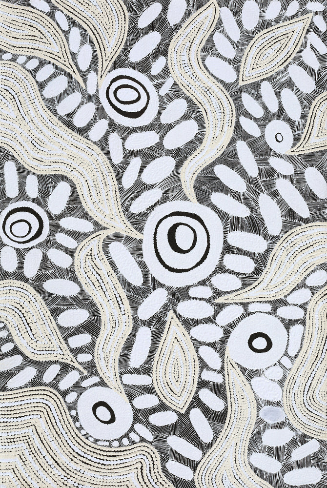 Aboriginal Artwork by Shonelle Napurrurla Stafford, Lukarrara Jukurrpa, 91x61cm