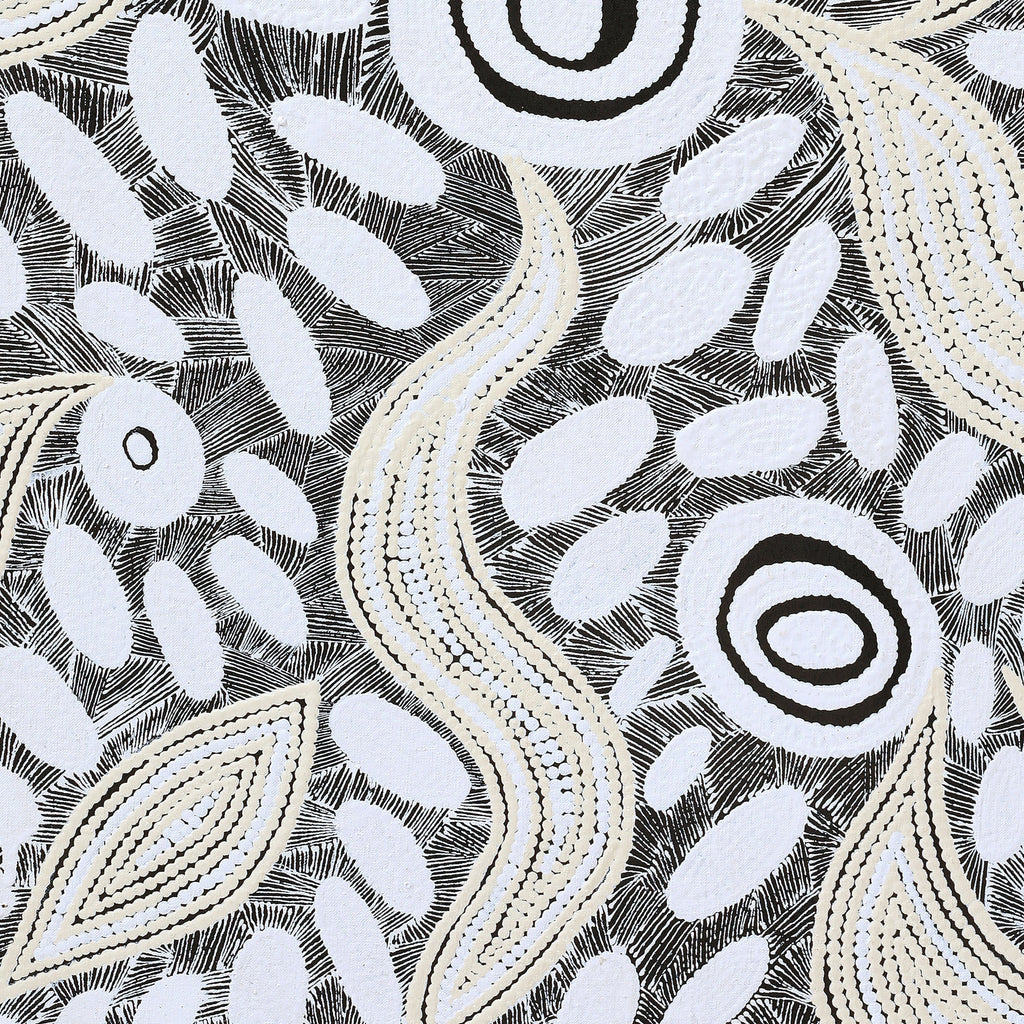 Aboriginal Artwork by Shonelle Napurrurla Stafford, Lukarrara Jukurrpa, 91x61cm