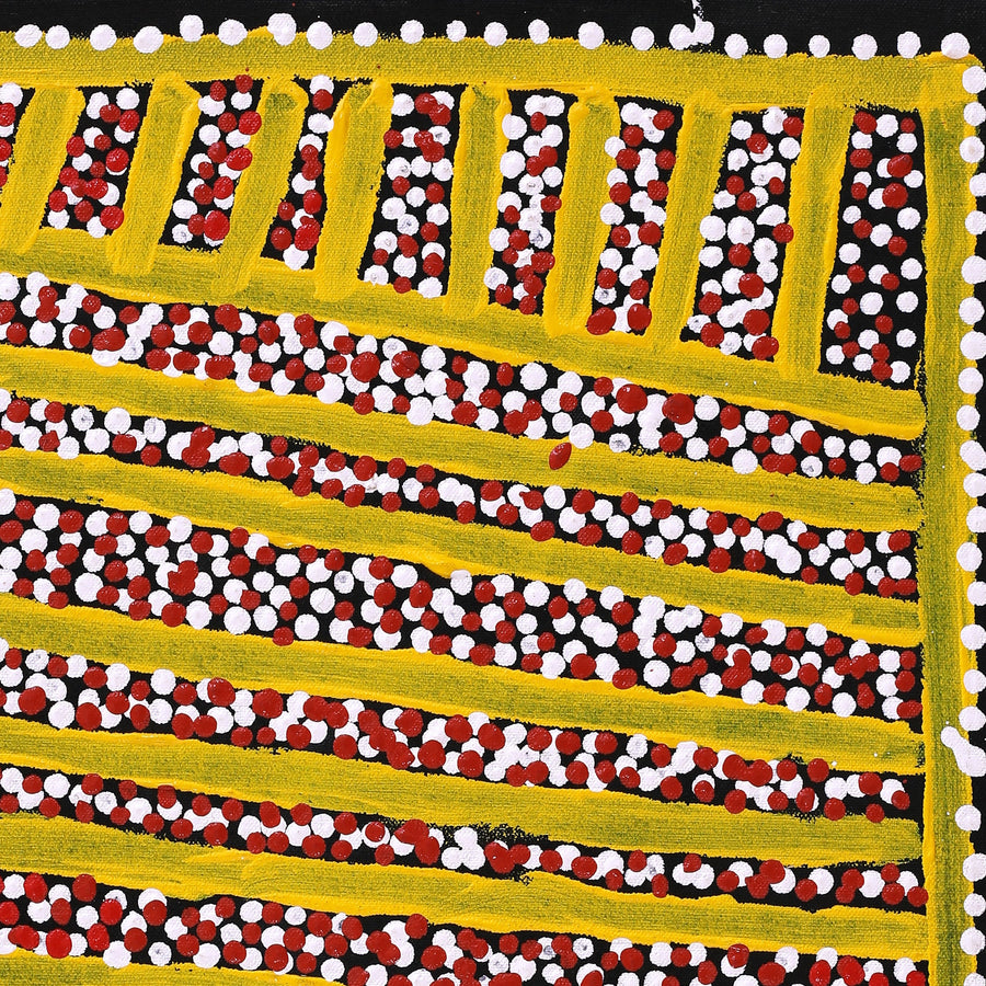 Aboriginal Artwork by Shorty Jangala Robertson, Ngapa Jukurrpa (Water Dreaming) - Puyurru, 61x46cm