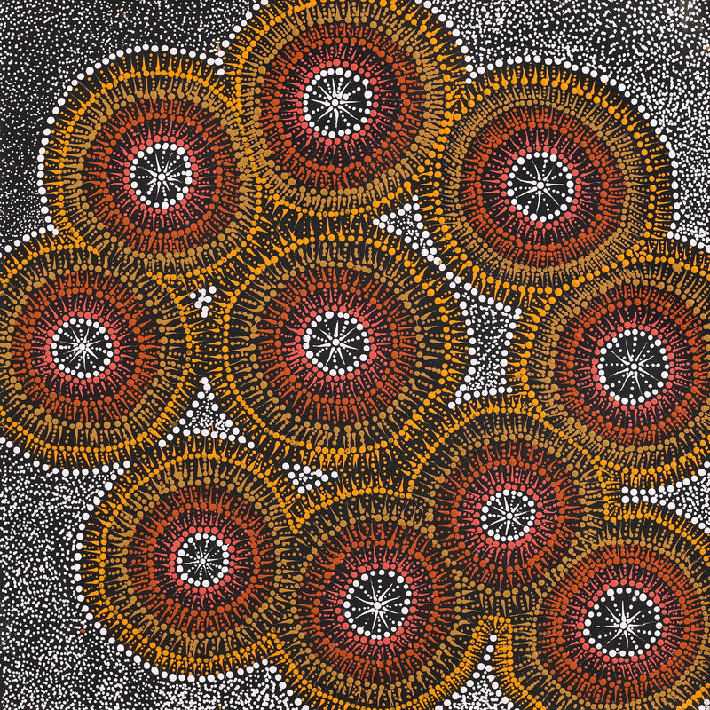 Aboriginal Artwork by Sophie Nangala Rice, Ngapa Jukurrpa - Puyurru, 61x61cm