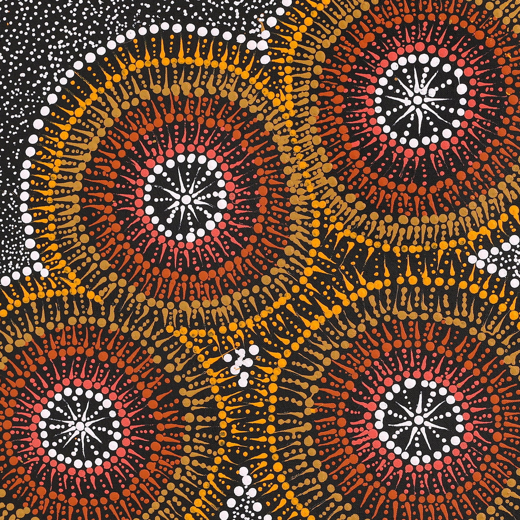 Aboriginal Artwork by Sophie Nangala Rice, Ngapa Jukurrpa - Puyurru, 61x61cm