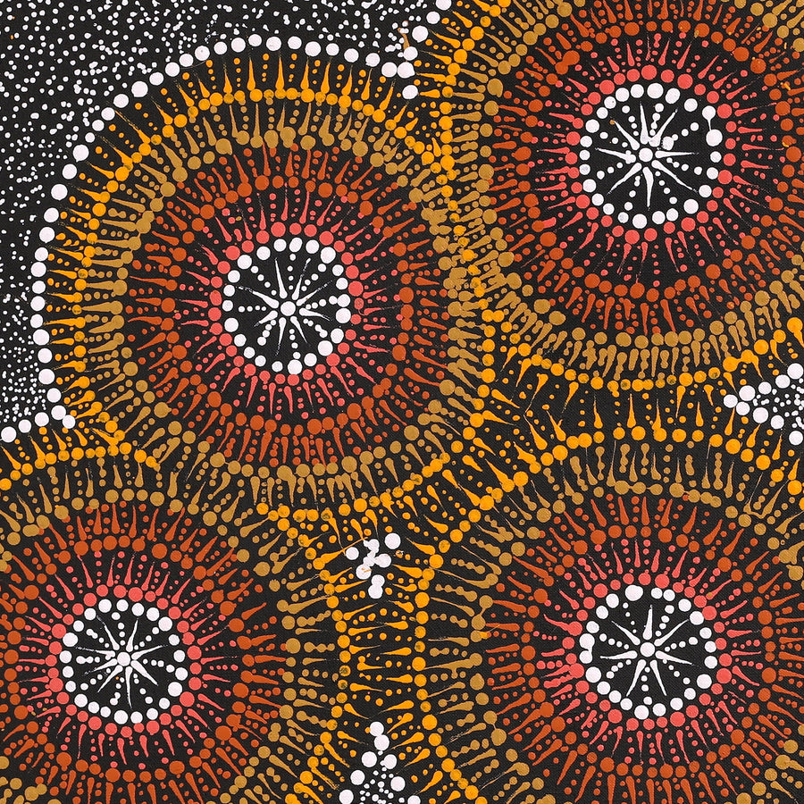 Aboriginal Artwork by Sophie Nangala Rice, Ngapa Jukurrpa - Puyurru, 61x61cm