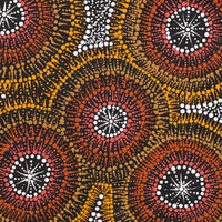 Aboriginal Artwork by Sophie Nangala Rice, Ngapa Jukurrpa - Puyurru, 61x61cm