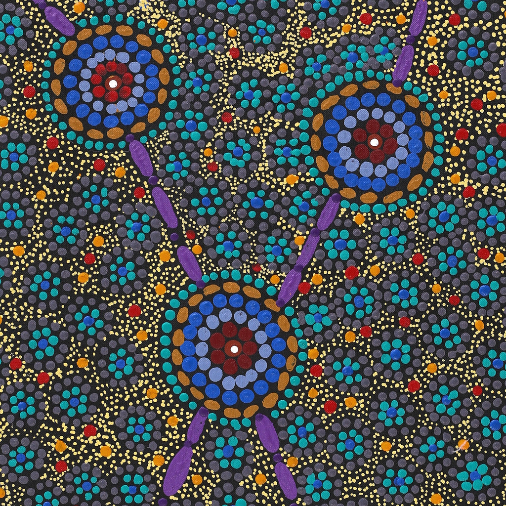 Aboriginal Artwork by Susan Ryder, Bush Tucker, 76x46cm