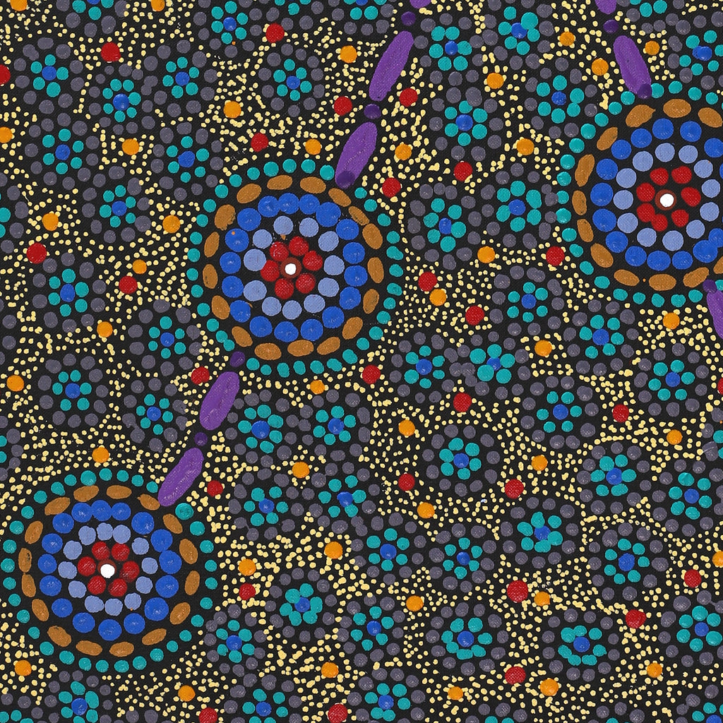 Aboriginal Artwork by Susan Ryder, Bush Tucker, 76x46cm