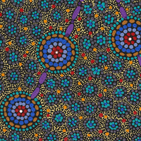 Aboriginal Artwork by Susan Ryder, Bush Tucker, 76x46cm