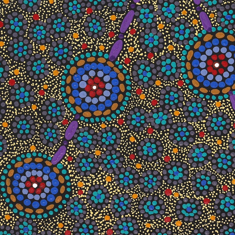 Aboriginal Artwork by Susan Ryder, Bush Tucker, 76x46cm