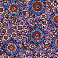 Aboriginal Artwork by Susan Ryder, Bush Tucker, 91x61cm