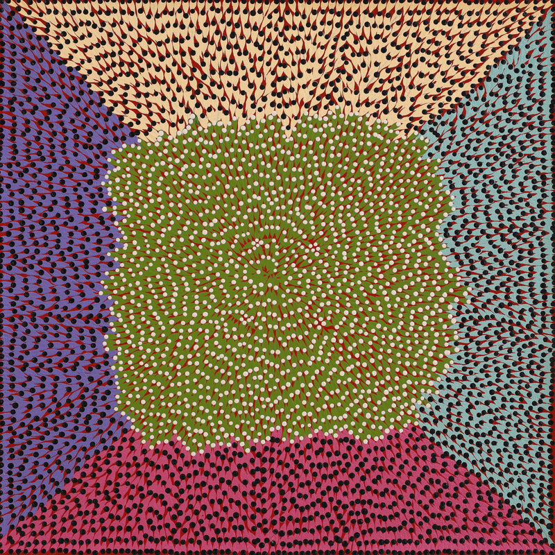 Aboriginal Artwork by Susie Lane, Bushflowers and seeds, 40x40cm