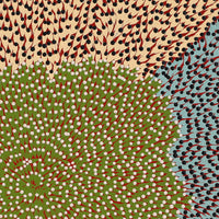 Aboriginal Artwork by Susie Lane, Bushflowers and seeds, 40x40cm