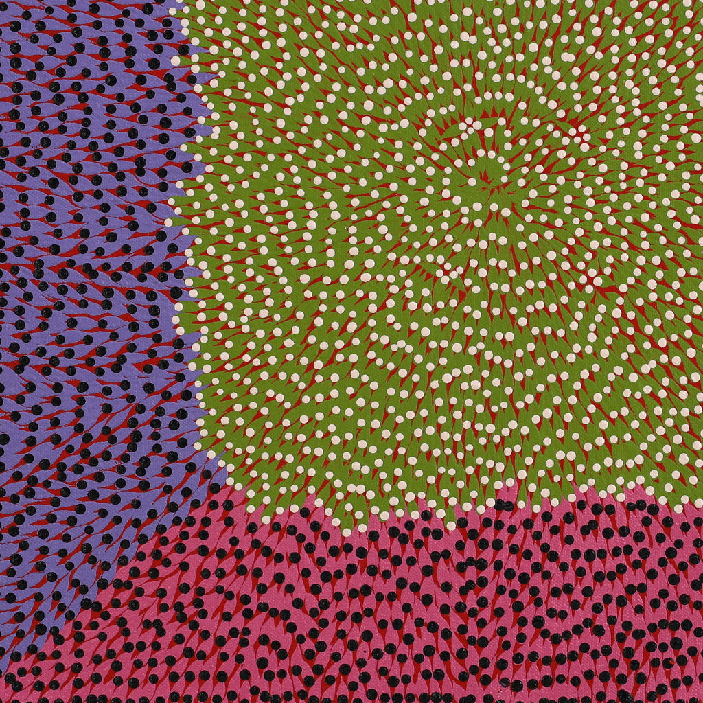 Aboriginal Artwork by Susie Lane, Bushflowers and seeds, 40x40cm
