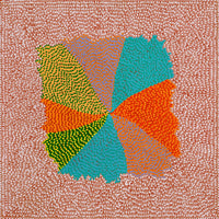 Aboriginal Artwork by Susie Lane, Bushflowers and seeds, 60x60cm