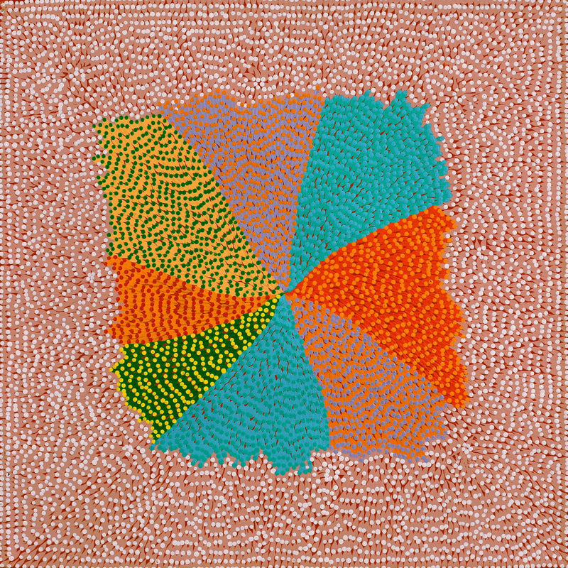 Aboriginal Artwork by Susie Lane, Bushflowers and seeds, 60x60cm