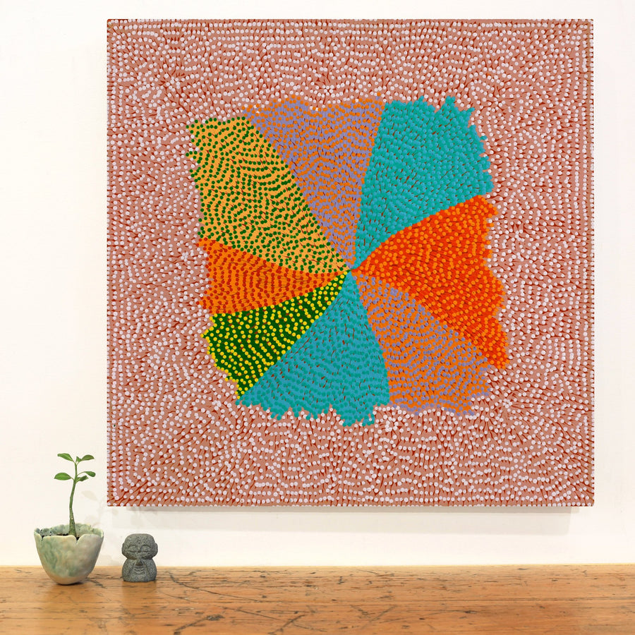 Aboriginal Artwork by Susie Lane, Bushflowers and seeds, 60x60cm