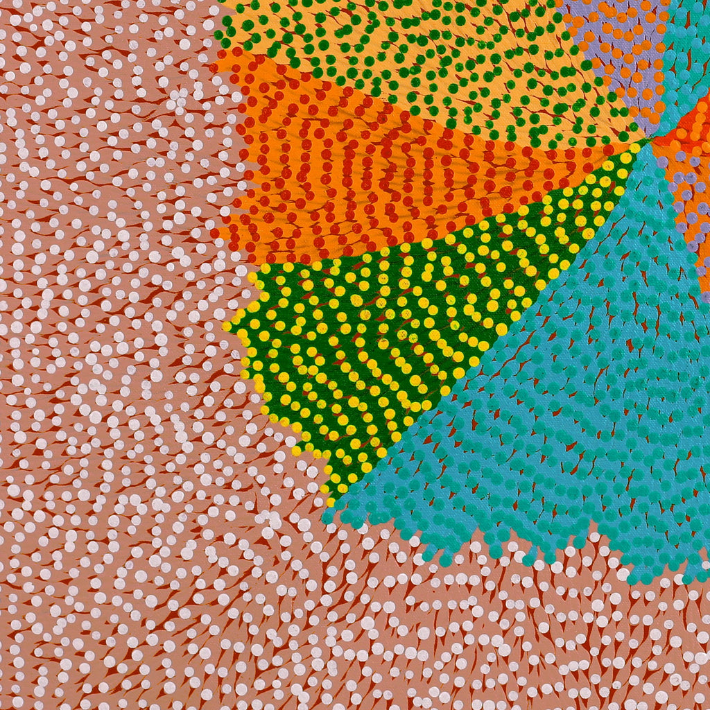 Aboriginal Artwork by Susie Lane, Bushflowers and seeds, 60x60cm