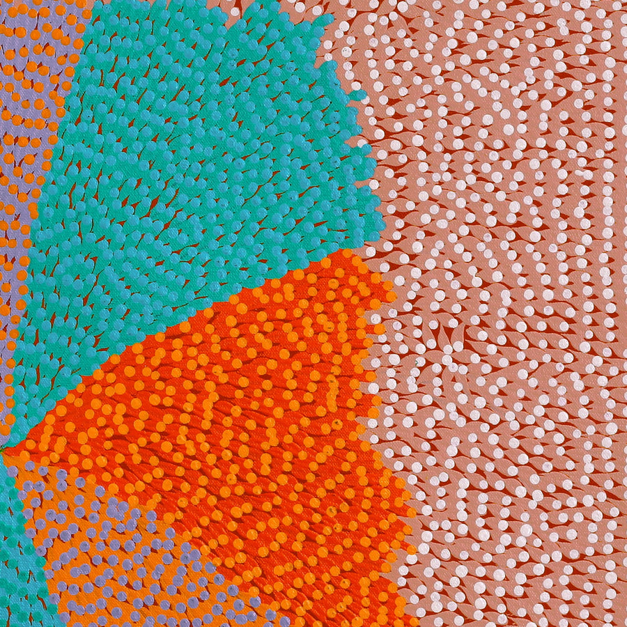 Aboriginal Artwork by Susie Lane, Bushflowers and seeds, 60x60cm