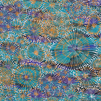 Aboriginal Artwork by Sylvaria Napurrurla Walker, Jitilypuru Jukurrpa, 107x61cm